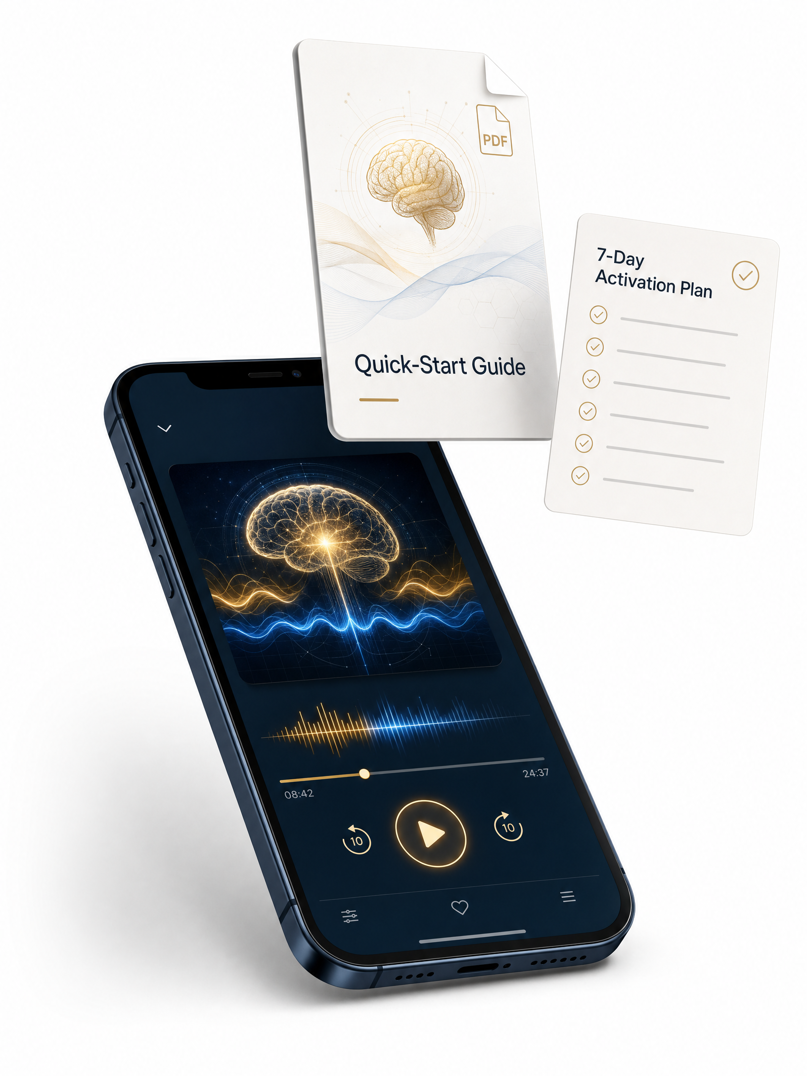 The Neural Wealth Switch - Audio Program